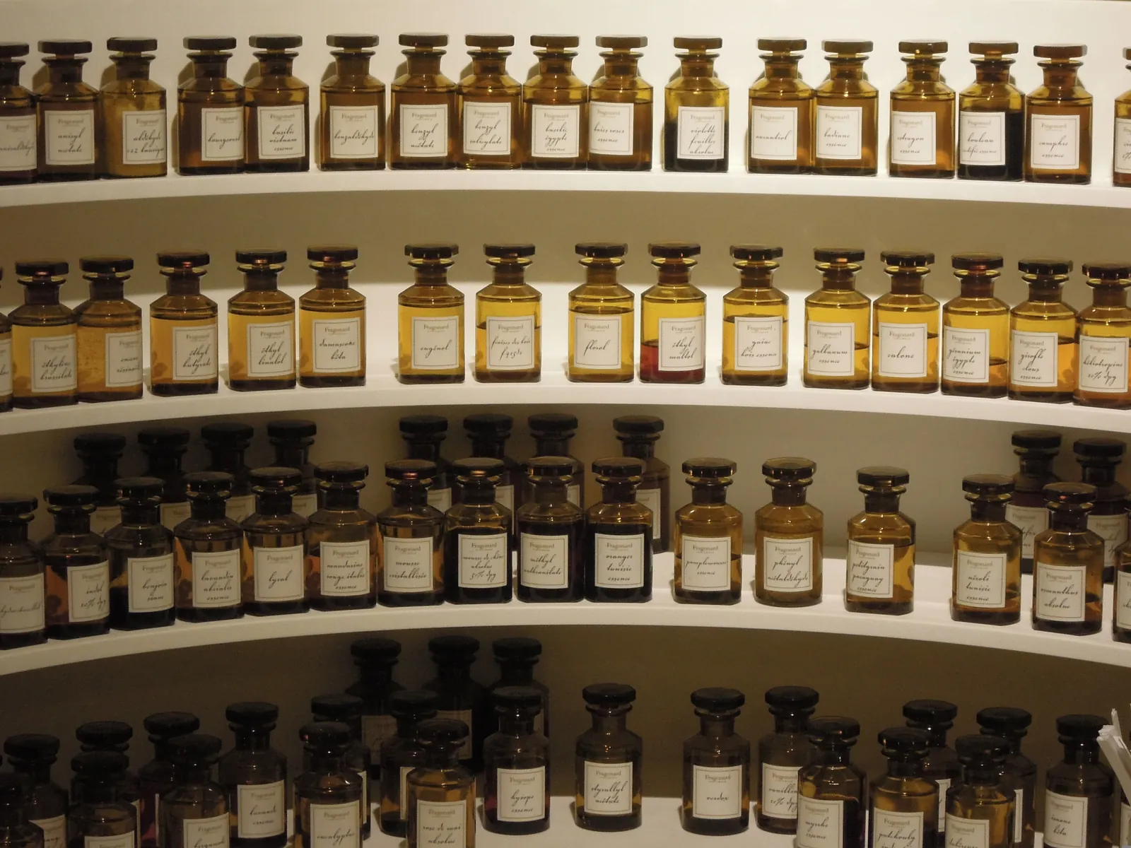Rows of perfume bottles at a perfumer’s in Grasse