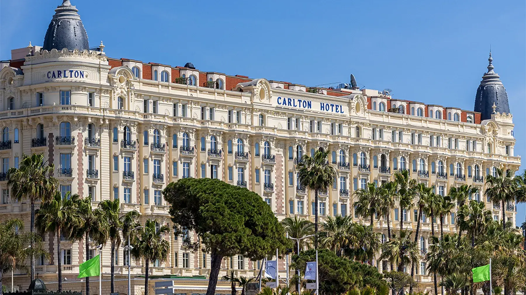 The Carlton and the palms of La Croisette