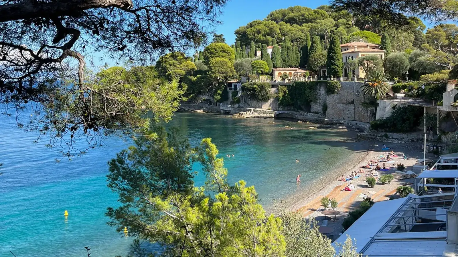 Paloma beach and its pines on Cap-Ferrat
