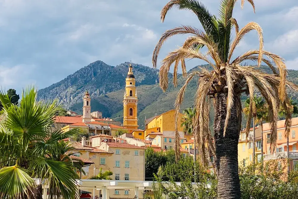 Palms and gardens in Menton
